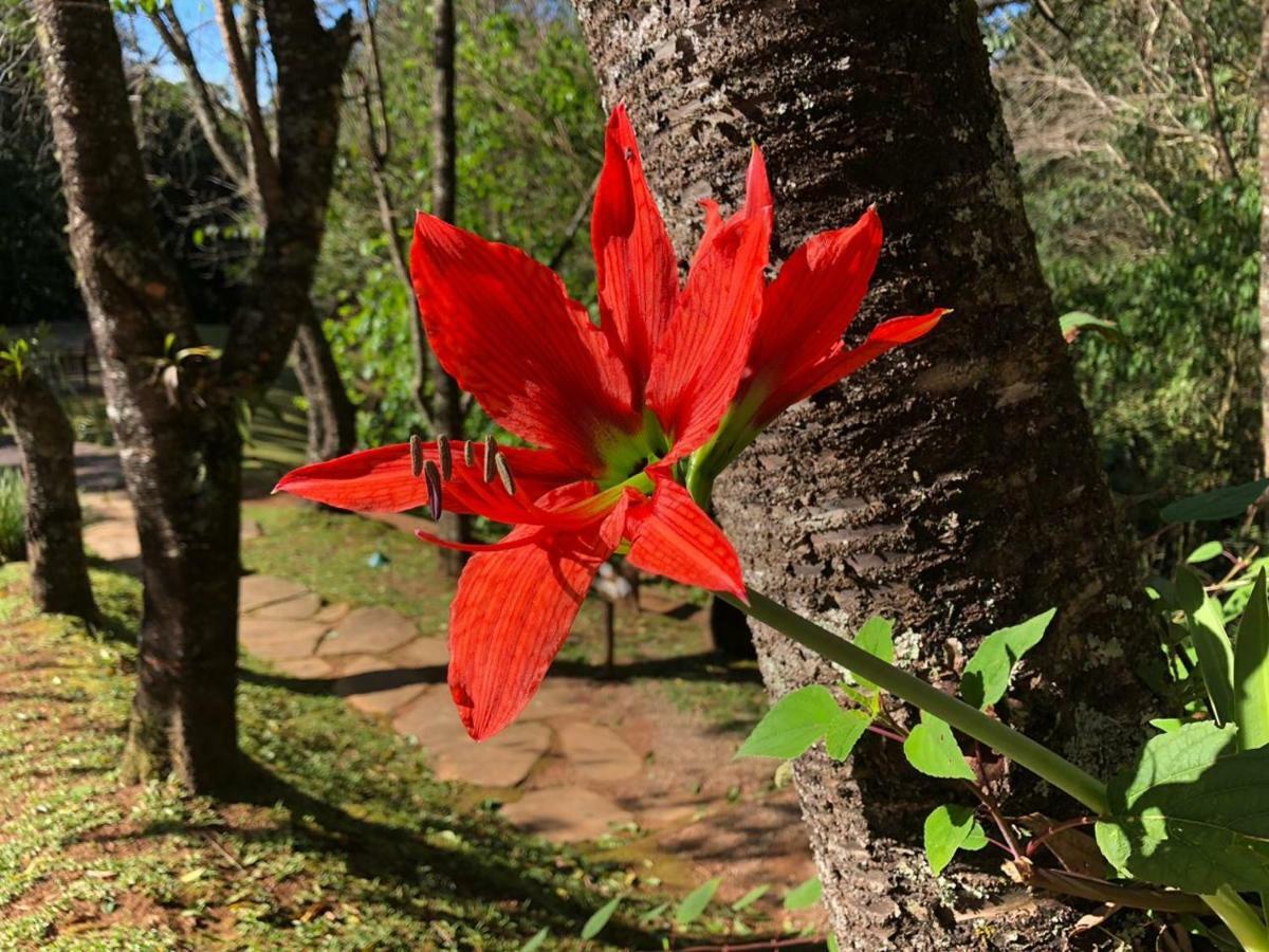 Pousada A Rosa E O Rei Hotell São Francisco Xavier Exteriör bild